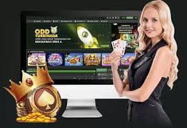 c77 bet